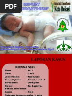 Download CASE SEPSIS NEONATORUM KUSppt by Thereshia Sisilia Alvina SN243203097 doc pdf