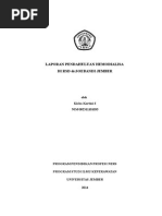 Download Hemodialisa CA by fajrinituirin SN243203173 doc pdf