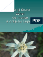 flora_si_fauna.pps