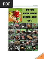 Download FUNGIpdf by nabilahstsmyh SN243215389 doc pdf