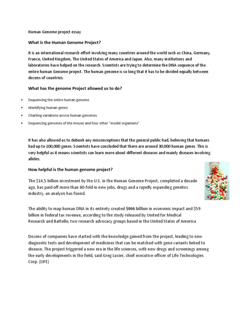 Human genome size picture