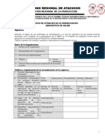 Formato - Diagnóstico de Salida.doc
