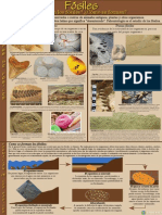 (Spanish) Fossil Poster v4.pdf