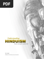 Download Understanding Hinduism Basic Concepts Explained by Hindu American Foundation SN243229502 doc pdf