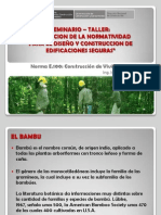 15. Norma E.100 Bambú.pdf