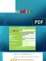 Promexico PDF