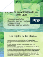 09-Formas de Organizacion de Los Seres Vivos PDF