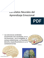 Correlatos Neurales del Aprendizaje Emocional.pptx