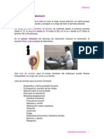 valoracion_embarazo.PDF
