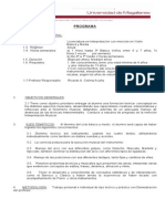 Programa de Violín.pdf
