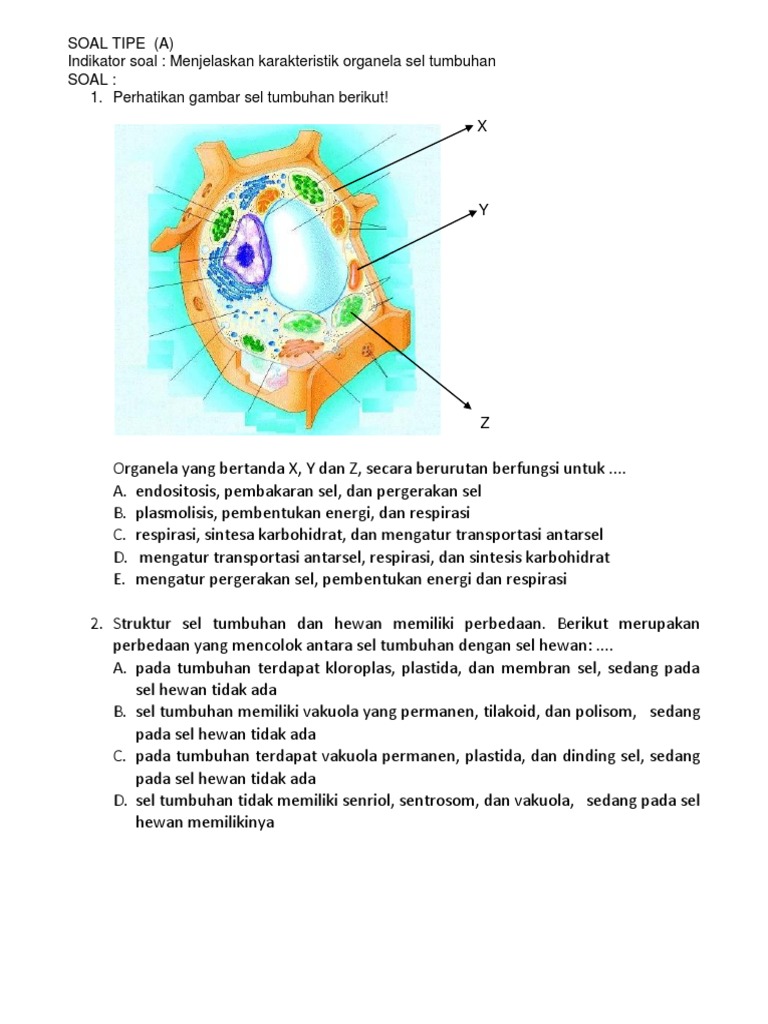 Contoh Soal Turunan Kls 11 | bank soal cpns pdf