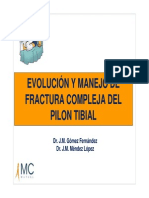 evolucion_tibial.pdf