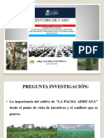 Caso 2 Palma Africana