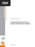 Cátia Vicente - Relatório de Estágio.pdf