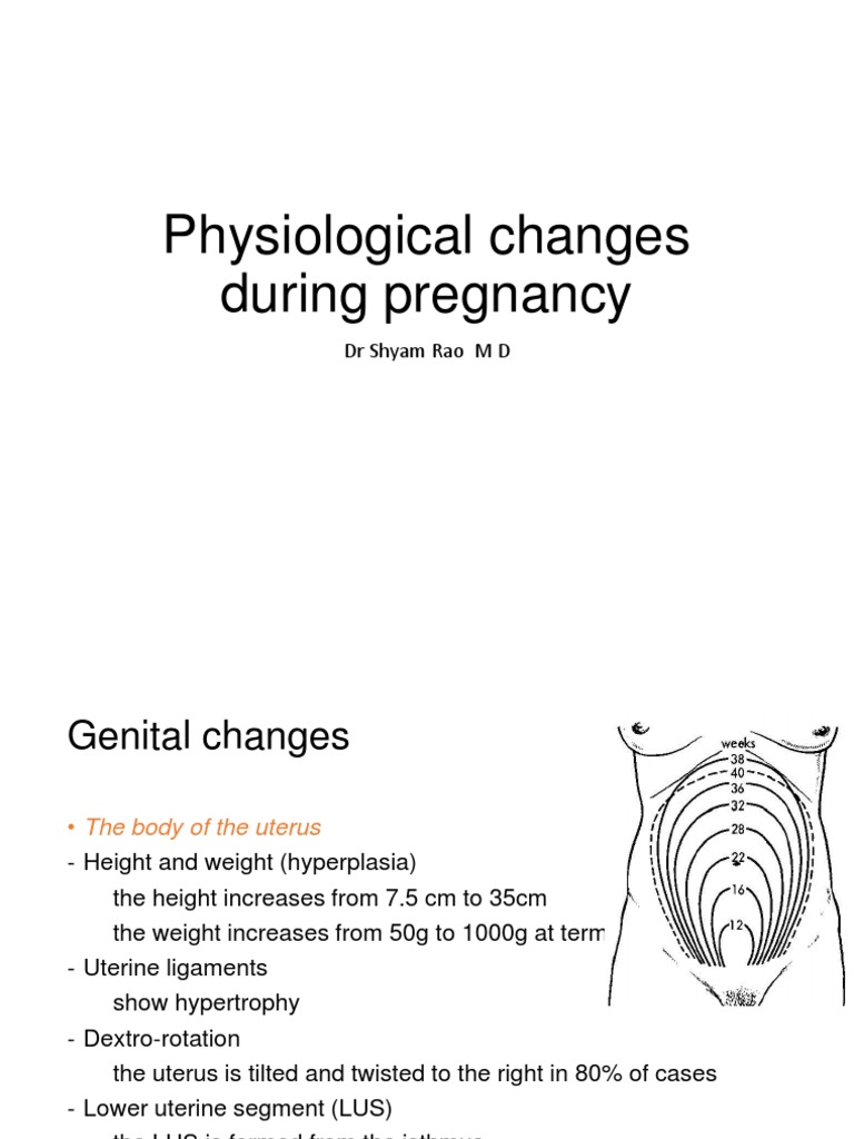Physiological Changes in Pregnancy | PDF | Respiratory System | Cortisol