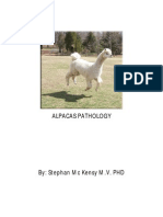 Libro Patologia y Crianza de Alpacas PDF