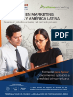 Brochure Direccion en Marketing para Peru y AL PDF