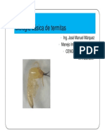 biologia-basica-de-termitas-modo-de-compatibilidad.pdf