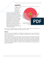 Pulso Electromagnético PDF