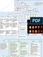 Tarea Oftalmo