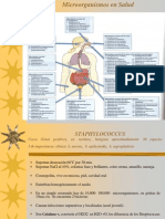 Ok (13) Microrganismos y Salud PDF