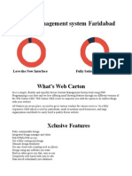 Content Management System Faridabad