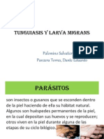 Tunguiasis y Larva migran FINALL.ppt