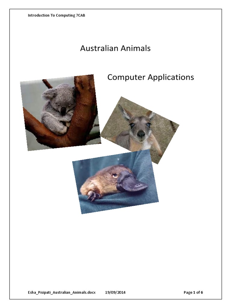 Australian Animals Overview | PDF | Koala | Conservation
