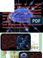 3. COMPLEJIDAD.pdf