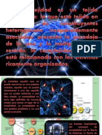 Complejidad PDF