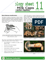 Rockrose-Ethnobiology Sheet 11 Lactarius PDF