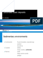 TA2910 07 - Carbonate coasts