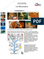 cours-biologie-marine-bryozoaires-ligne.pdf