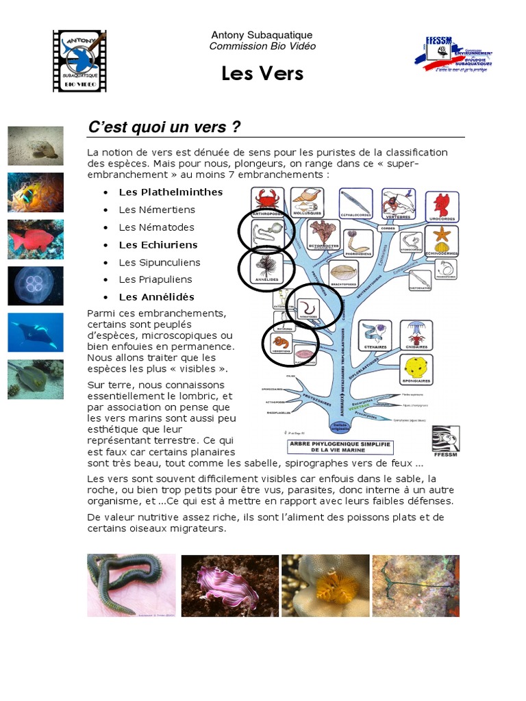 cours-biologie-marine-vers.pdf | Organismes | La nature