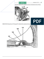 DIRECTIONS (Questions 162 Through 166) : Identify The Anatomical Features Indicated On The Art Below