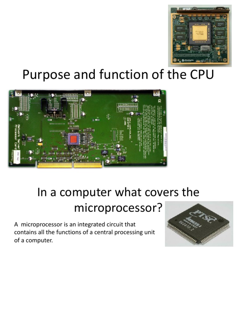 Purpose and function of the CPU.pptx | Central Processing Unit ...