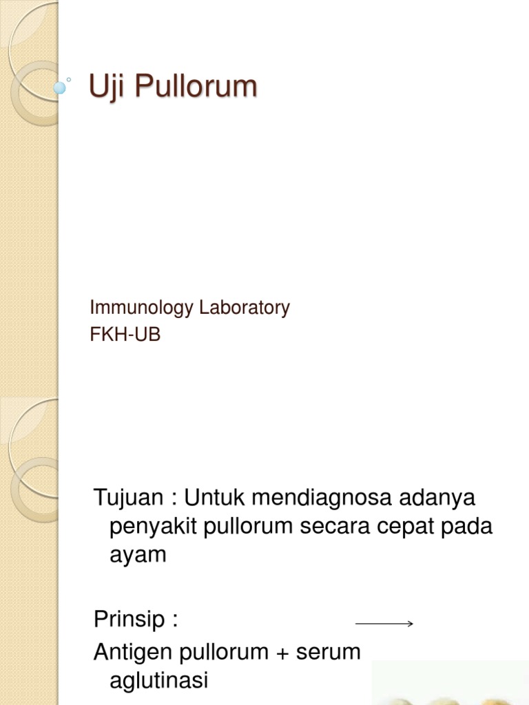 Uji Diagnosa Penyakit Pullorum pada Ayam | PDF | Kesehatan Holistik