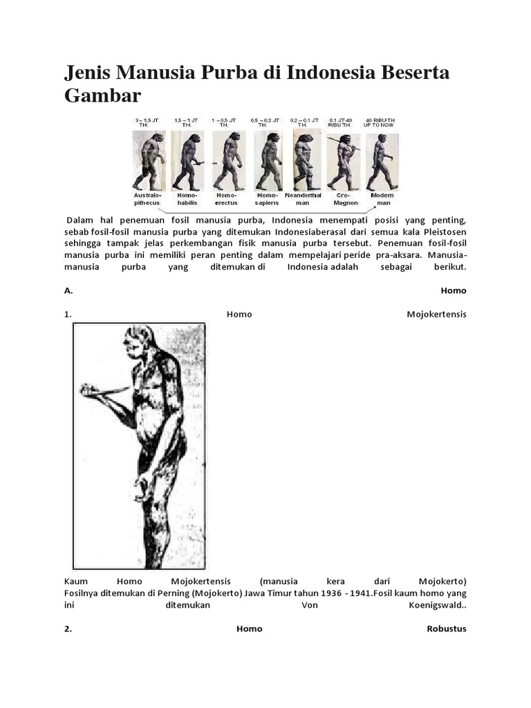 Jenis Manusia Purba Di Indonesia Beserta Gambar