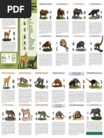 identificando_mamíferos_da_floresta_de_t (1).pdf