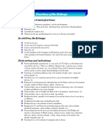 04 Kidney PDF