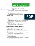 08 Liver PDF