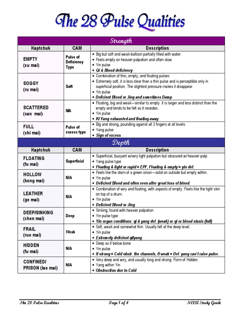The 28 Pulse Qualities CAM PDF PDF Pulse Yin And Yang