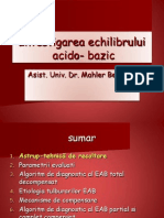 Investigarea Echilibrului Acido-bazic-Beatrice Mahler