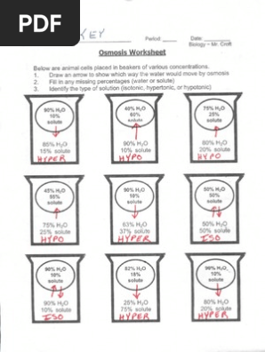 Osmosis Beaker Key Osmosis Cell Biology