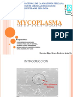 Seminario Micoplasma