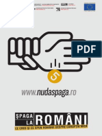 Cercetare - Spaga La Romani