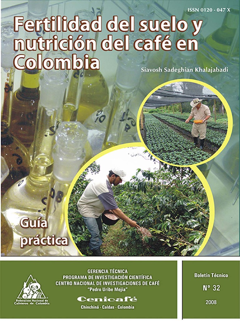 Boletin 32 Fertilidad de Suelos Siavosh Siadeghian Jul 10