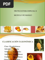 Guía Técnica del Balché (Lonchocarpus longistylus) | PDF | Germinación ...