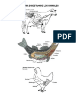 Sistema de Los Animales