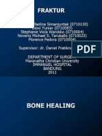 BONE HEALING